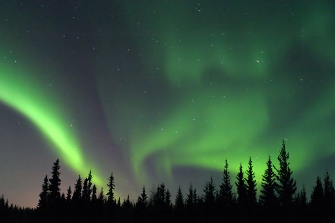Aurora Tree Line - North Pole, Alaska